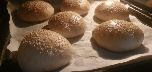 026C05A8-D4B0-4DBE-B737-575480C922A0-scaled