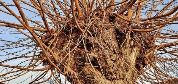 066E0E22-A790-40BF-99DE-42F6A72F74E8