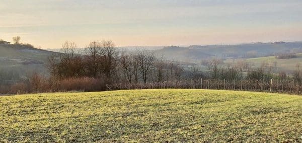 0D10FDC2-8B42-4CB2-AF60-61997EB4A10A