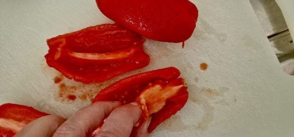 0F10A8D4-1213-4467-9AF5-CA531C31C424-scaled