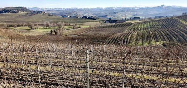 10A235AE-90B6-42E5-A442-5BECC9A38352