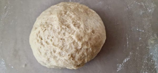 1577AA58-4EFA-4D37-9365-7A47D7D1269E-scaled