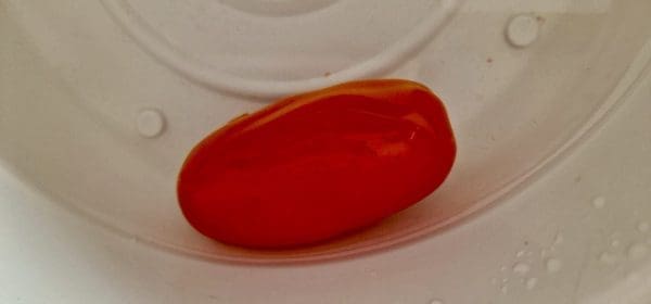 19822CA2-CD59-4A7B-A0EE-0BAE05F6A31B-scaled