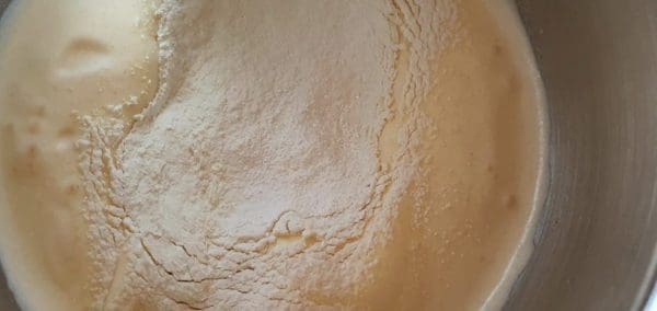 1E939761-E366-4291-93AC-A9CF4ECE3CE0