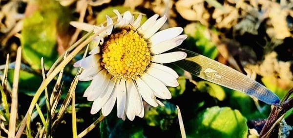 3069FF9F-B5F7-49F0-8CCD-BCA698294A0F