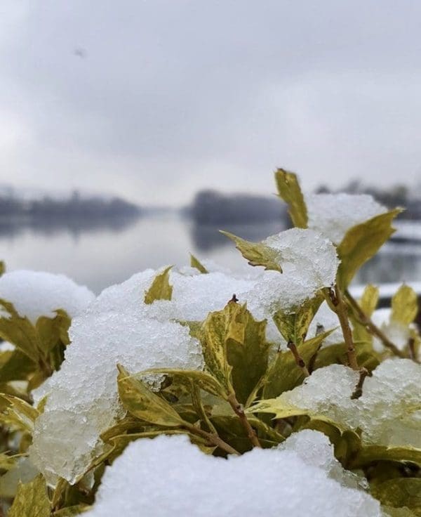 3344B7DD-DE12-4742-97D0-B2C5B07D7D2B