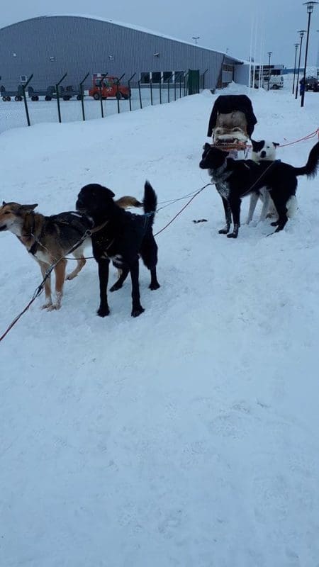 41f16dc1 c414 45aa b589 cc85aa4def42