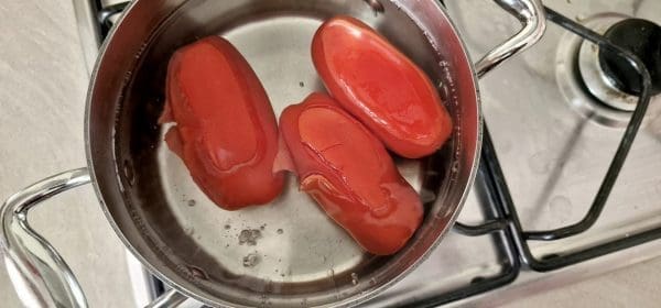 432AA064-0845-4F1F-A08C-867081E5AE51-scaled