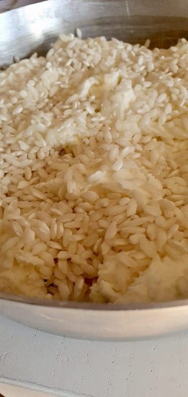 44b8a9d5 c220 477b ae50 8b4025b78228 scaled