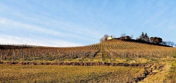 4BC3E654-AC8D-4800-A145-F3FA5CA62D5A