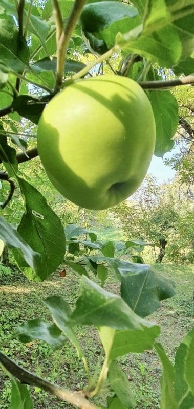 50068652-9A11-491B-8979-E4F210FFE235