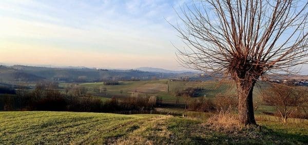 52D3D5D8-2996-4818-A47A-9F7A9A19868F