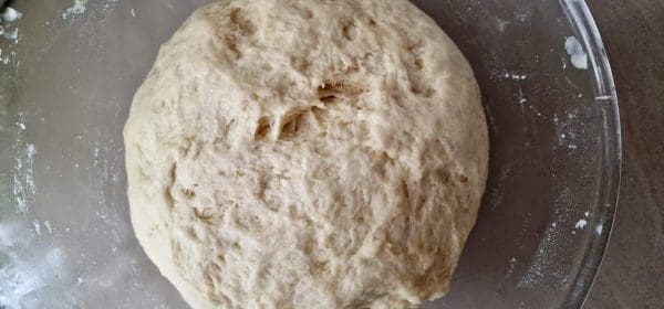 541A7E7F-0BB6-4362-BA23-2A3E27CA2833-scaled