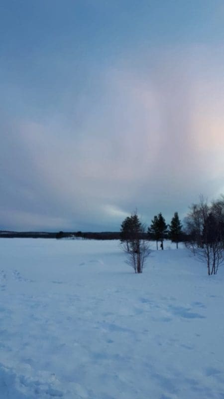 577AA53D-7E2D-4E73-85E7-9E29ACE543E9