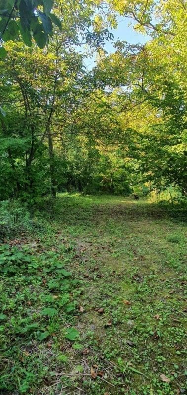 5A1FB7FA-5332-48DA-8710-9D034AACE261