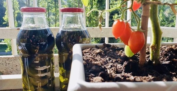 5E6A5A01-6E80-4B4D-A3F2-E47F0D3D8E3E