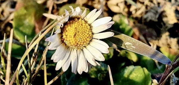 64D8A280-4EAF-48F6-BFAC-0E90F5166B09