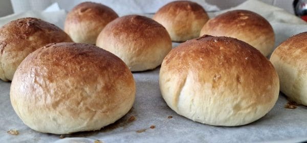 7EF3F8CF-614F-47A4-B36F-A2646ACF01F3-scaled