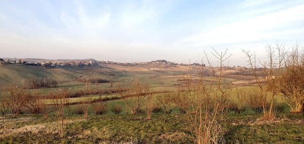 80A230F5-D5BE-4A7A-AEAB-D682E32598D2