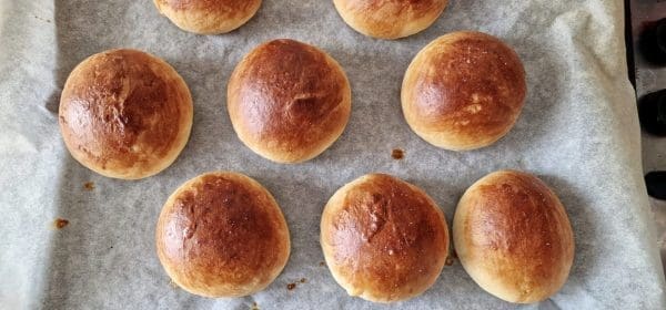 8284BA7B-6D30-4D11-9BD0-850C2959161B-scaled