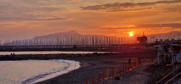 87950193 fa59 441a aaa2 a95347f697d8 scaled