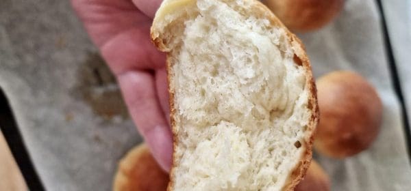 94561C7A-8123-4B7E-BCC1-04B3A104A736-scaled