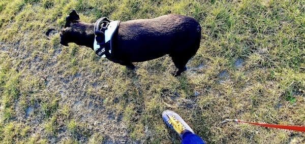 9D5F7E15-6F67-4F02-9908-D6F19F9C0C49