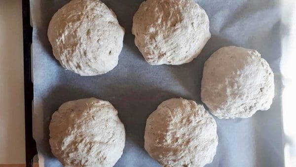 a70cd144 26df 4684 852b c57951b7158f