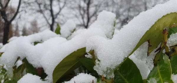 A74ACE68-37BB-4011-8CE0-BD395B8A62EF