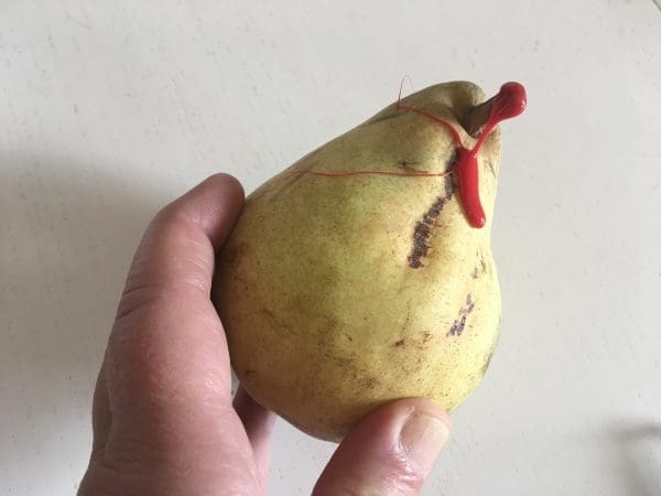 AC02ECDF-E0BF-44A3-83A1-51DE9B4BB951