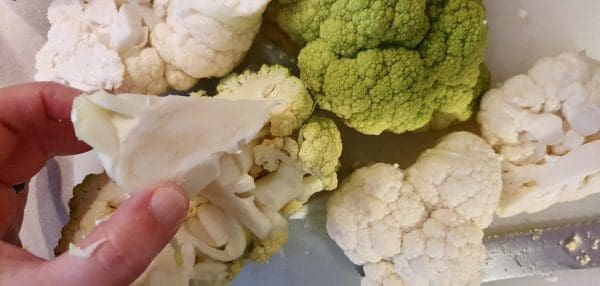 AD5204CF-AD92-41F3-8A72-83C4AA5CF477