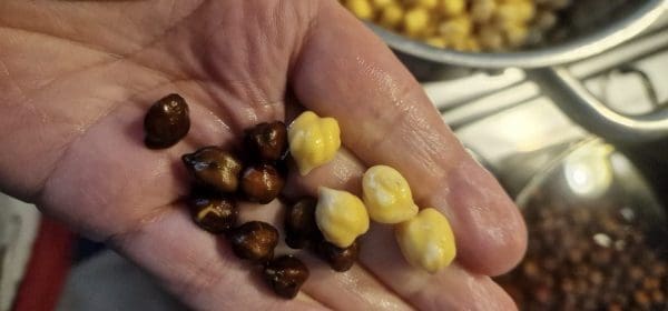 B55C8C79-DC9F-45DA-8C7D-4C0F63AC8252-scaled