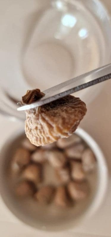 BEDA2E8C-B349-47F7-A05C-C7BFC9C38C61