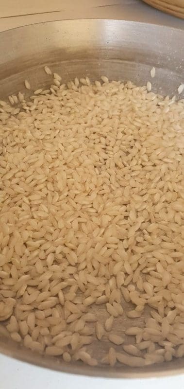 CDAAEF85-DD2D-42ED-8923-85C315FFDEDD-scaled