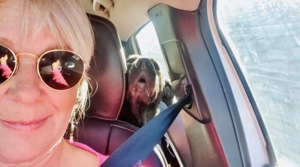 CE30FDB2-8D9B-41E6-B685-2C8C011AAFAA