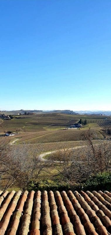 D0C221AC-1259-40D1-B4F0-223586ECCF60