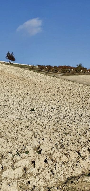 DAFBBF66-73A4-4CAA-9108-BD3FBB82030A