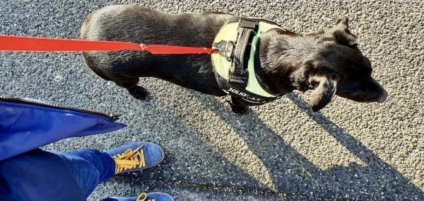 DE847982-FEE3-4B8A-A988-8F52AC1C9DDD