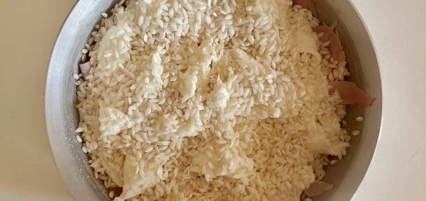 E42C771F-4583-40FE-9F28-958F172E1873-scaled