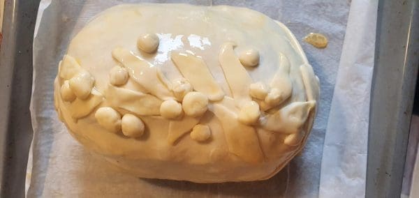 E62BB30A-4C8B-4551-9B4A-44B991D99DA2-scaled