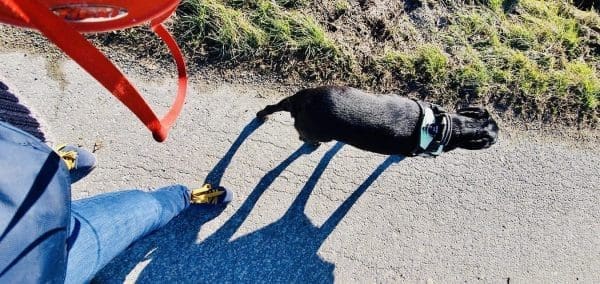 EDD2B087-DDF6-4DB4-8631-AB5DCF2CC5B1