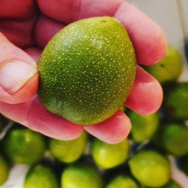 F3477E99-67B4-4E7C-97E2-795A857E3B94