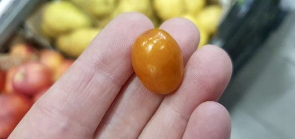 F5229090-FDD4-4D39-8422-800AC5654313