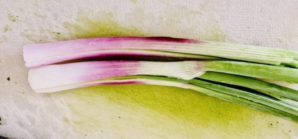 F63D1D19-B1B4-4B6B-AFE1-F654B3A548F0