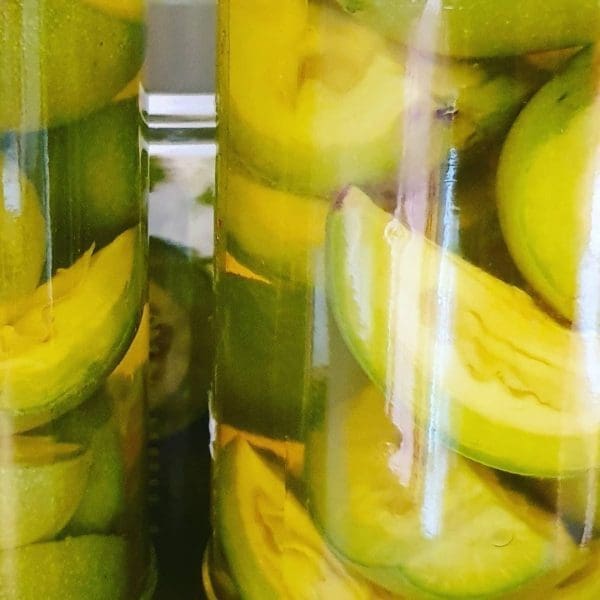 F6ED793B-4D4E-4B46-A46A-4C2A4D13E38F