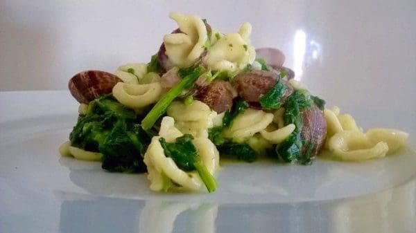 Orecchiette con vongole