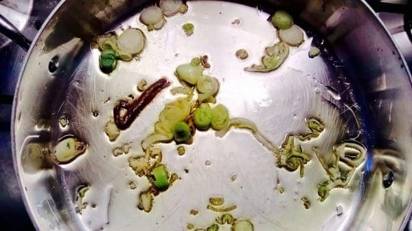 image202-e1452972805479